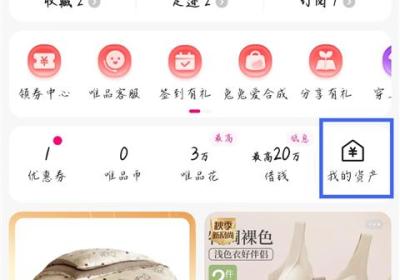 唯品会app下载-唯品会官方免费下载安装最新版 v9.75.1安卓版