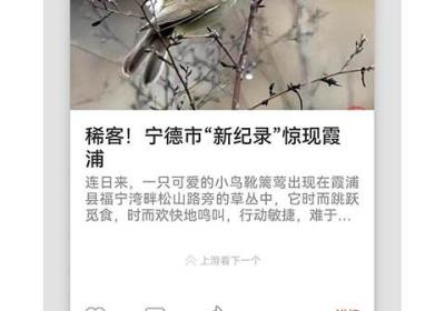 新宁德app下载-新宁德官方版下载 v5.3.2安卓版