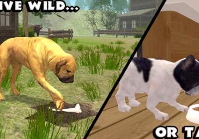 终极狗狗模拟器(Ultimate Dog Simulator)1.1 安卓免费版
