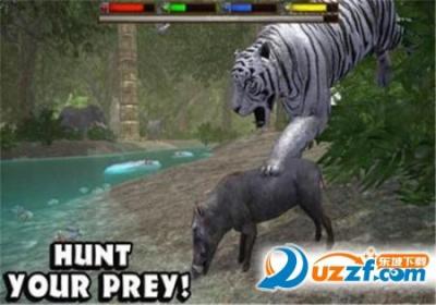 3D猛虎生存模拟游戏下载-3D猛虎生存模拟器1.2 安卓版