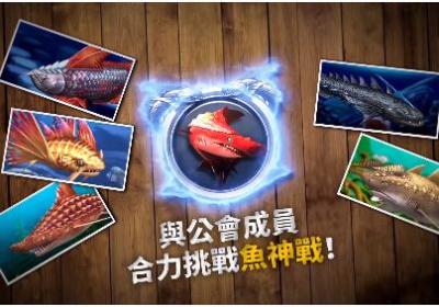 钓鱼发烧友官方下载-钓鱼发烧友官方安卓版9.2.0 官方版