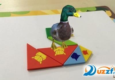 拼LA-七巧板安卓手机版下载-拼LA-七巧板1.3安卓版