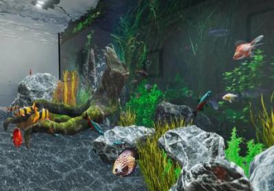 水族馆模拟器下载安装-水族馆模拟器0.163 安卓版