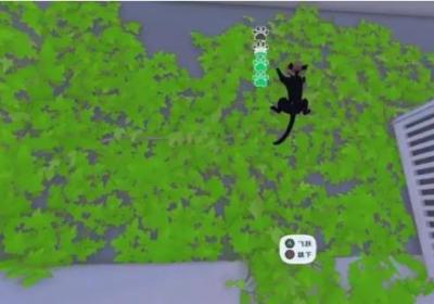 小猫咪大城市模拟器下载-小猫咪大城市游戏手机版(大城小猫)1.0.4 最新版