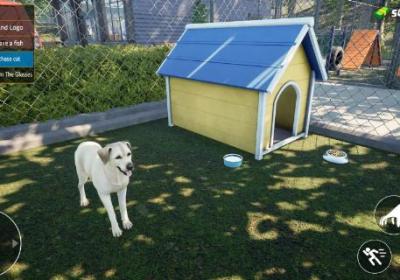 宠物店模拟器无限金币版下载-宠物店模拟器破解版1.1 手机版