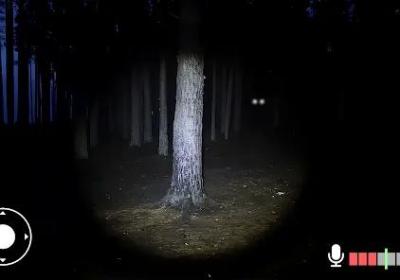 永不尖叫游戏下载-永不尖叫2.2.1 安卓版