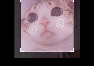 改变眼睛颜色的软件-Change Eyes Color(改变眼睛颜色的app)1.6 安卓版