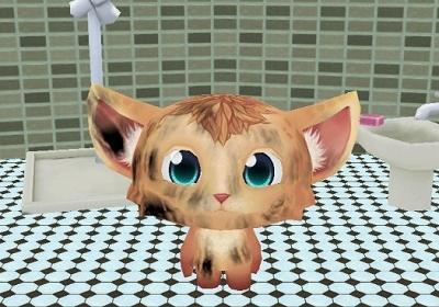 我的说话虚拟宠物下载-我的说话虚拟宠物1.8最新安卓版