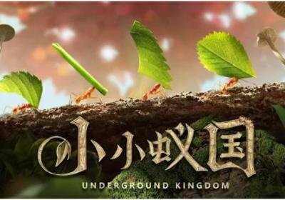 小小蚁国国际服官方下载-小小蚁国国际版The Ants3.65.0 安卓版