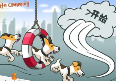 穿越城市的狗狗游戏下载-AgilityCity(穿越城市的狗狗手游)1.1.0 安卓中文版