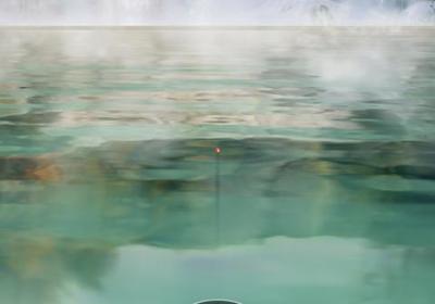 狂野钓鱼2钓王荣耀下载-狂野钓鱼2钓王荣耀游戏1.0.8 最新版