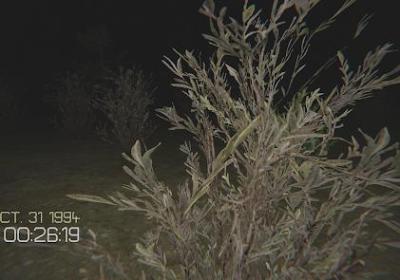 永远不要尖叫游戏下载-不要尖叫游戏手机版(Just dont Scream)0.0.4 安卓版