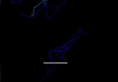 粉末沙盒模拟器下载-沙盒模拟(SandBox)14.163 安卓版