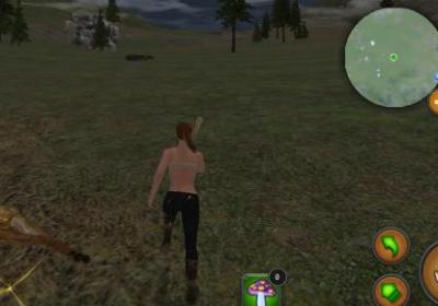 驯服北极生存手机版下载-Tamed Arctic Survival(驯服北极生存游戏)1.0 最新安卓版