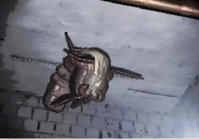 致命公司同人游戏可联机下载-致命公司多人联机移植版(Metal Company)1.0.8 手机版