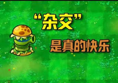 pvz植物大战僵尸杂交版下载手机版主播同款-pvz杂交版植物大战僵尸主播版3.14 经典版