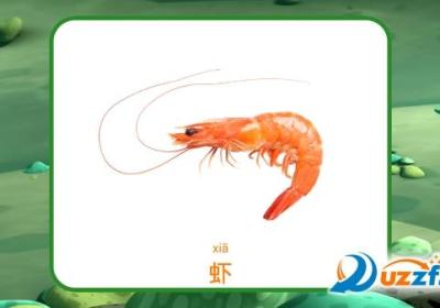 海底小纵队学动物手游下载-海底小纵队学动物游戏1.3 安卓版