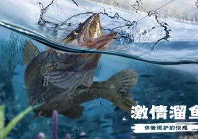 天天钓鱼下载安装正版-天天钓鱼游戏1.1 安卓版