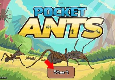 口袋蚂蚁模拟器下载-口袋蚂蚁殖民地模拟器(Pocket Ants)0.0866 最新版