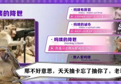 节奏比兜免广告下载安装-节奏比兜去广告1.0.0 安卓版