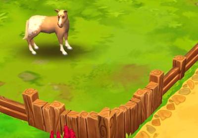 动物园2手游下载-动物园2(Zoo 2: Animal Park)1.3.0 安卓最新版