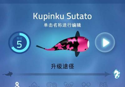 禅宗锦鲤专业版下载-禅宗锦鲤专业版(Zen Koi PRO)1.2.1 安卓版