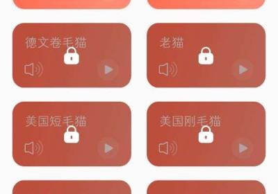 peppycat安卓版下载-peppycat猫咪小游戏2.4.7 官方版