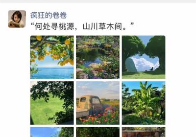 铛铛App下载-铛铛官方版下载 v3.1.62安卓版