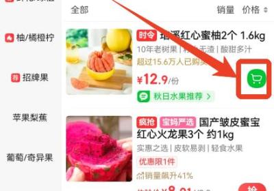 叮咚买菜app官方版下载-叮咚买菜最新版下载 v13.1.0安卓版