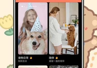 宠物交流器免费下载-宠物交流器App官方正版下载 v6.2.728安卓版
