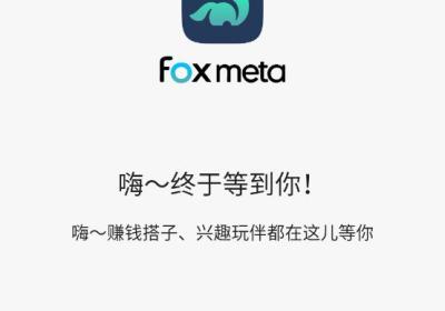 狐狸Meta软件下载-狐狸Meta官方版下载 v1.0.5最新版