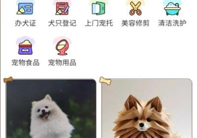 惠养宠app下载-惠养宠官方版下载 v1.1.1