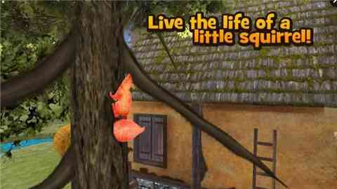 松鼠模拟器(Squirrel Animal simulator)1.0 安卓版截图