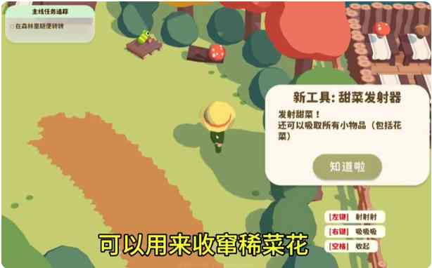 舒舒服服小岛时光