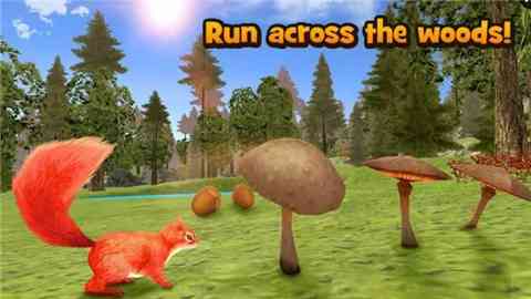 松鼠模拟器(Squirrel Animal simulator)1.0 安卓版截图
